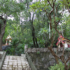 IMG_8605.JPG