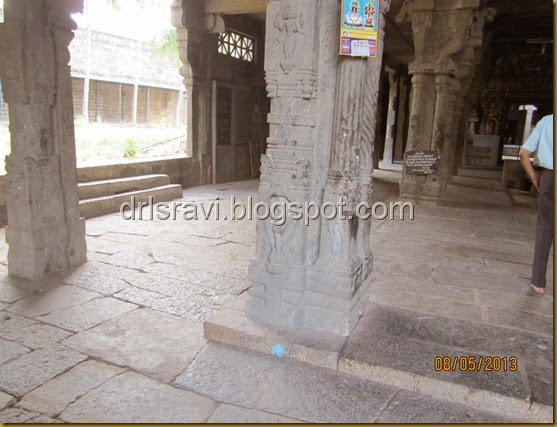 IMG_0023 IMG_0023