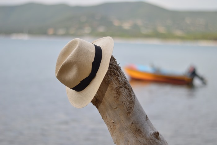 Hat, Panama Hat, Borsalino, Panizza, Fashion Blogger hat