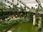 p1300354752(1).jpg