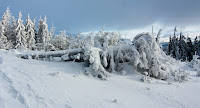 IMG_7495.jpg Photo