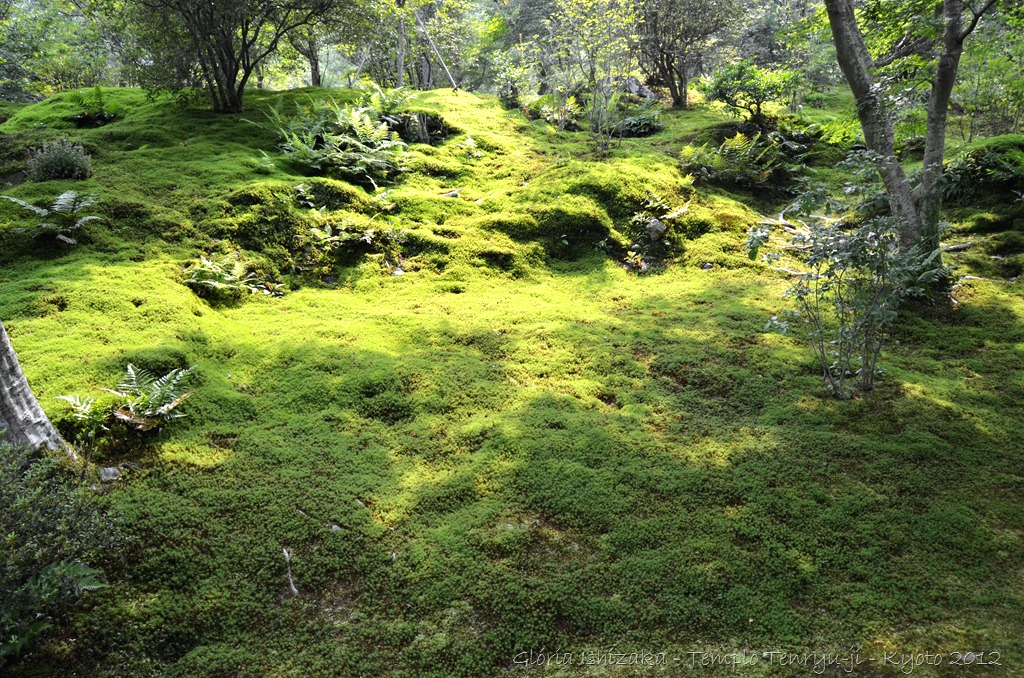 [28%2520-%2520Gl%25C3%25B3ria%2520Ishizaka%2520-%2520Arashiyama%2520e%2520Sagano%2520-%2520Kyoto%2520-%25202012%255B11%255D.jpg]