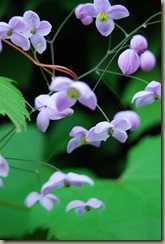 Copy_of_DSC_0119[2]