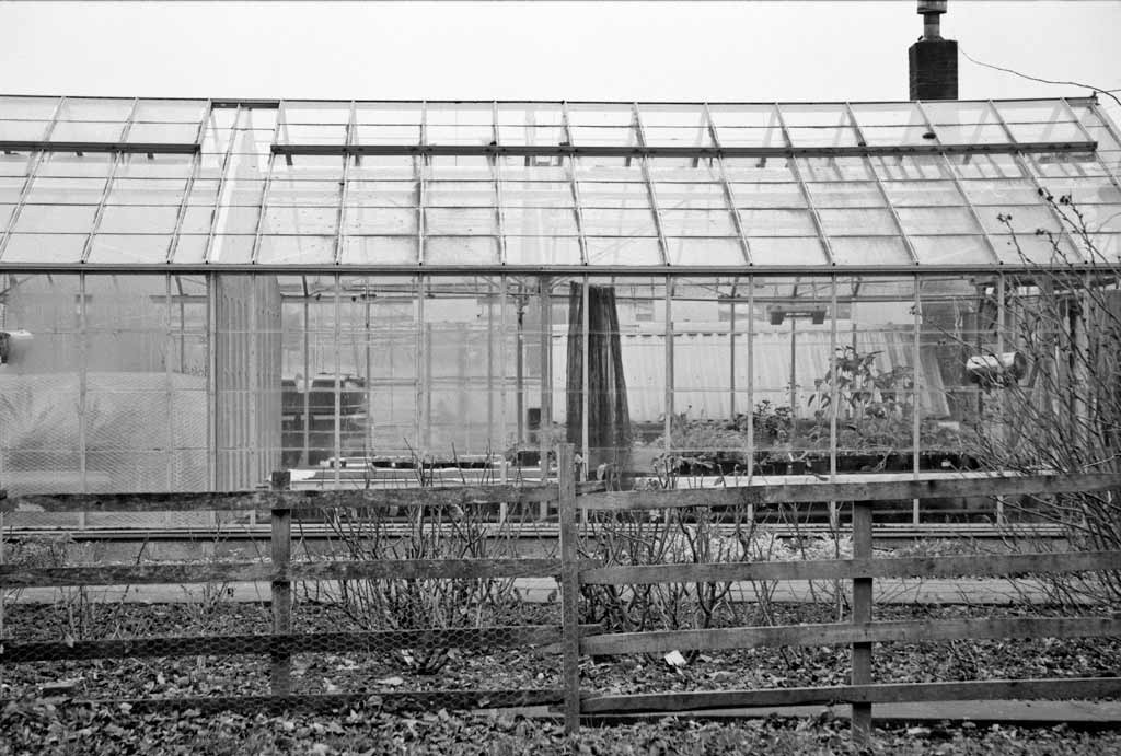[Student-Greenhouses%255B1%255D.jpg]