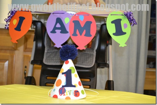 First Birthday Party  (162)