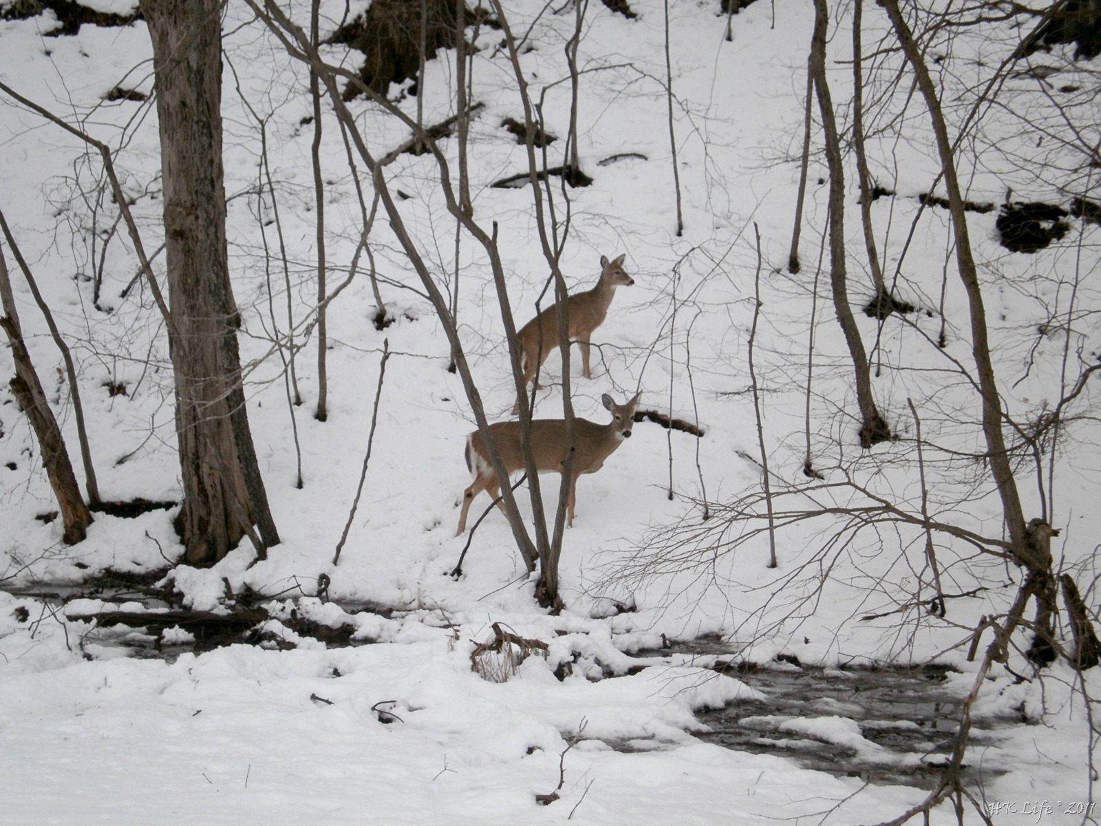 [P3120359%255B7%255D.jpg]