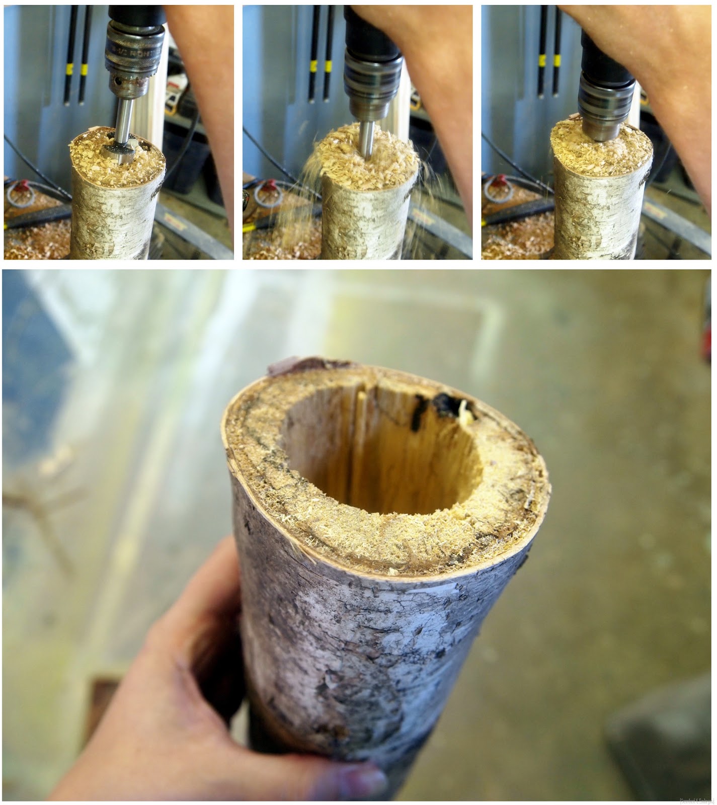 [Hollowing%2520our%2520Birch%2520Logs%2520to%2520plant%2520Succulents%2521%2520%257BSawdust%2520and%2520Embryos%257D%255B4%255D.jpg]