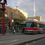 downtown toronto in Toronto, Ontario, Canada