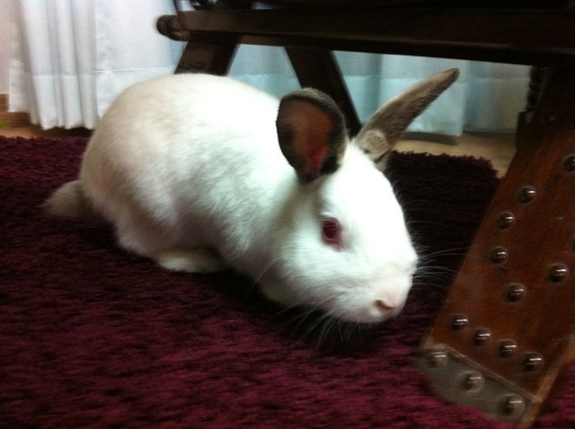 [Photo%252021-12-11%252017%252017%252003%255B10%255D.jpg]