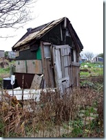 old allotment shed