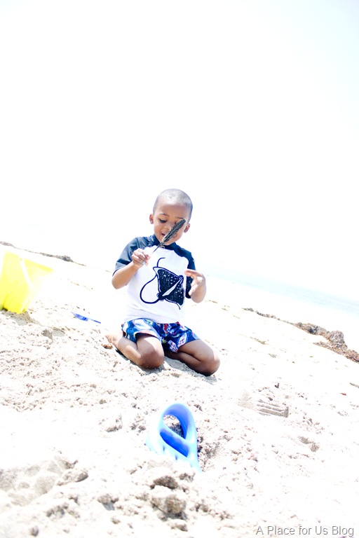 [Malibu%2520Beach-19%255B7%255D.jpg]