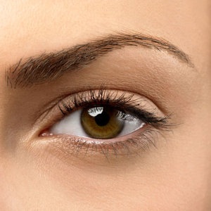 [rb-woman-eye-brows-1-0809-mdn%255B5%255D.jpg]