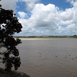 Dargaville_Papaora Dargaville_Papaora