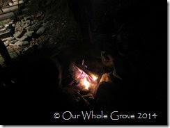 circle of embers circle of embers