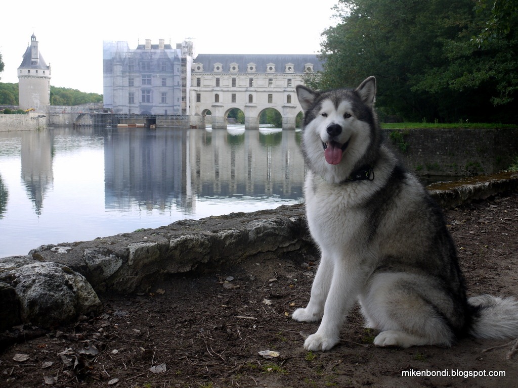 [Chenonceau%255B3%255D.jpg]
