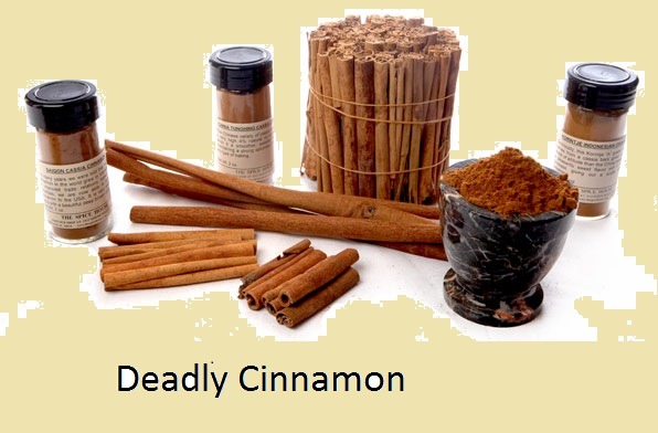 [forms-of-cinnamon6.jpg]