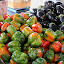 Rainbow Bell Peppers - Melbourne, Australia