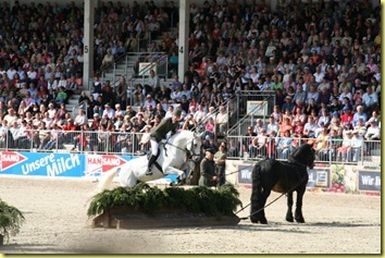 IMG_1735 IMG_1735