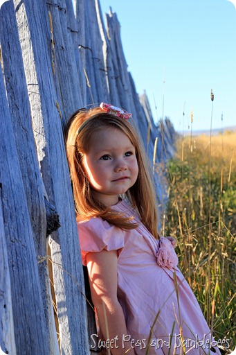 IMG_4126 IMG_4126