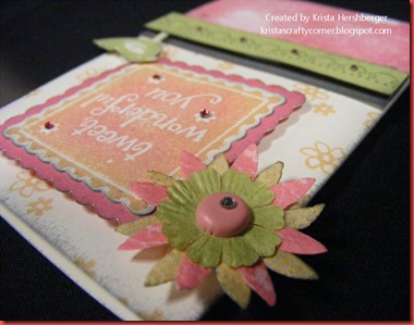 June SOTM- Tweet Wonderful You close up flower June SOTM- Tweet Wonderful You close up flower