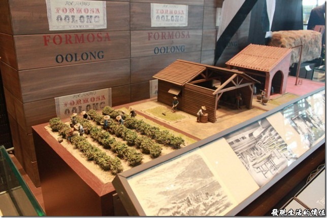 台南-國立台灣歷史博物館。茶葉種植與製茶