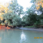 IMG_5764.JPG