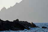 DSC_0219_2.JPG