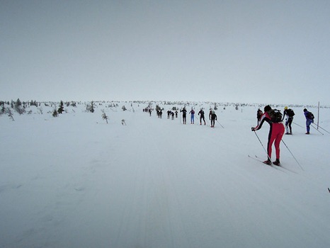 Birkebeinerrennet Birkebeinerrennet