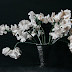 Object: 20094 - Witte Lathyrus - 30 x 40 cm- € 2975,=