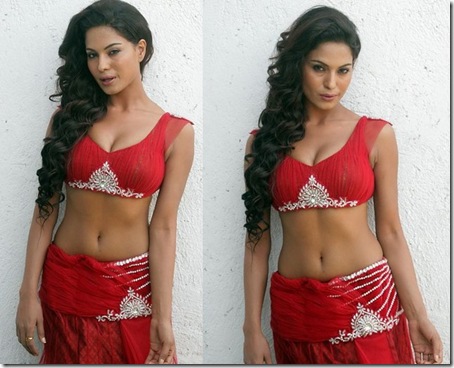 Veena-Malik-Hot-Stills _7_