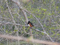 DSC03211.JPG