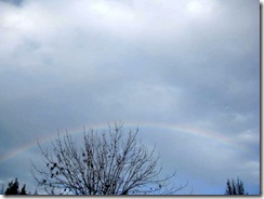 IMG_0006 IMG_0006