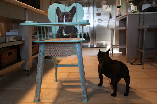 I wonder how a dog is supposed to get into such a chair?