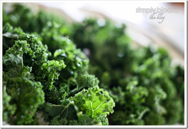 Kale (1 of 1)