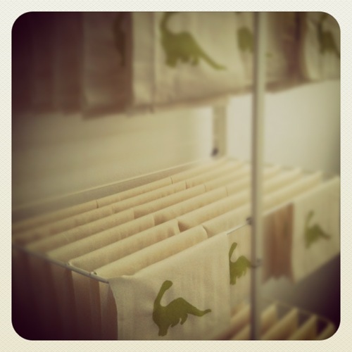 Screen printed dinos I did for a party I am styling. Screen printing is FUN!