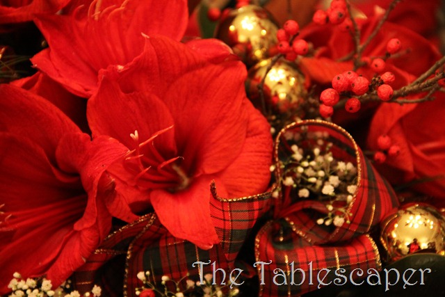 [Christmas-2011-1113.jpg]