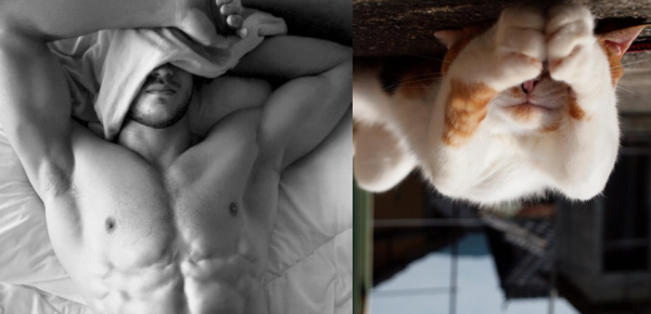 Горячие парни и котята (35 фото) | Картинка №25
