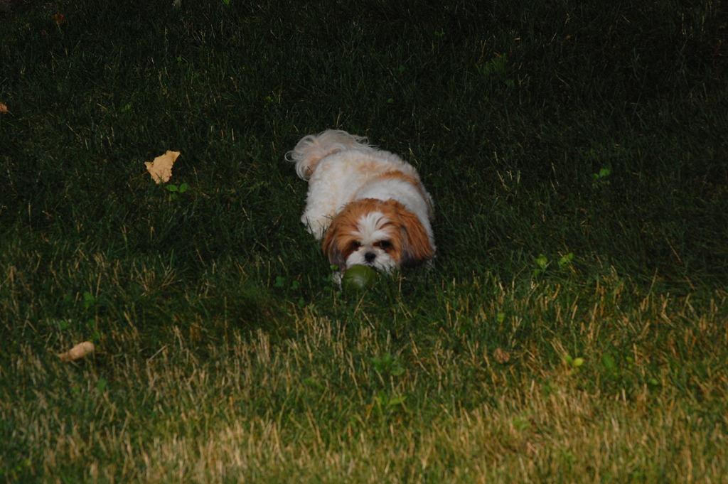 [DSC_0231%255B4%255D.jpg]