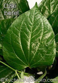Dziki betel © KuchniaAzjatycka.com