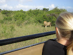 Hails checking out the leo.