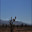 untitled album - 259.jpg