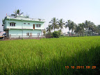 DSCN0268.JPG