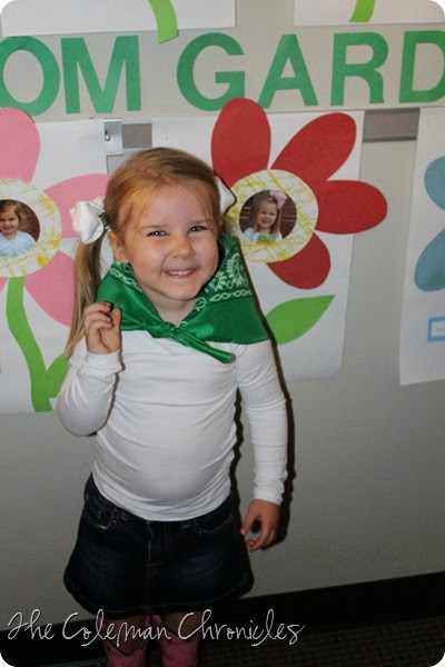 IMG_1537 IMG_1537