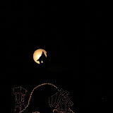 133 (533x800).jpg