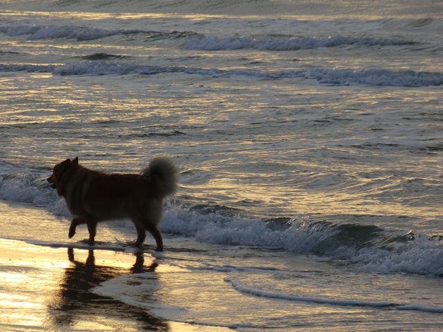 [november420110083.jpg]