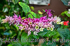 Glória Ishizaka - Jardim Botânico Nagai - Osaka 43