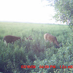 MDGC0168.JPG