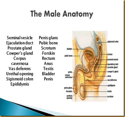 Slide3