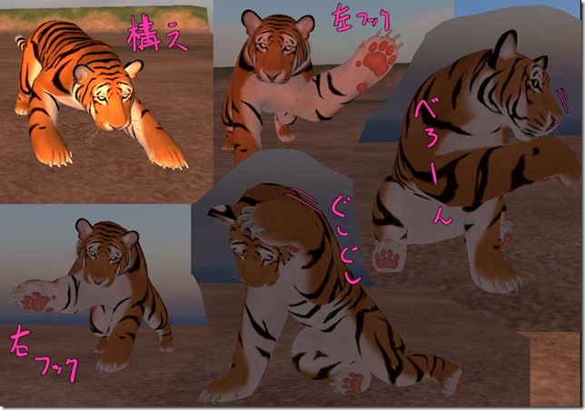 tiger5
