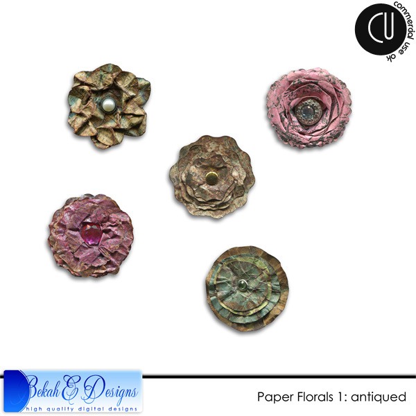 [bed_pf1-a_prv%255B6%255D.jpg]